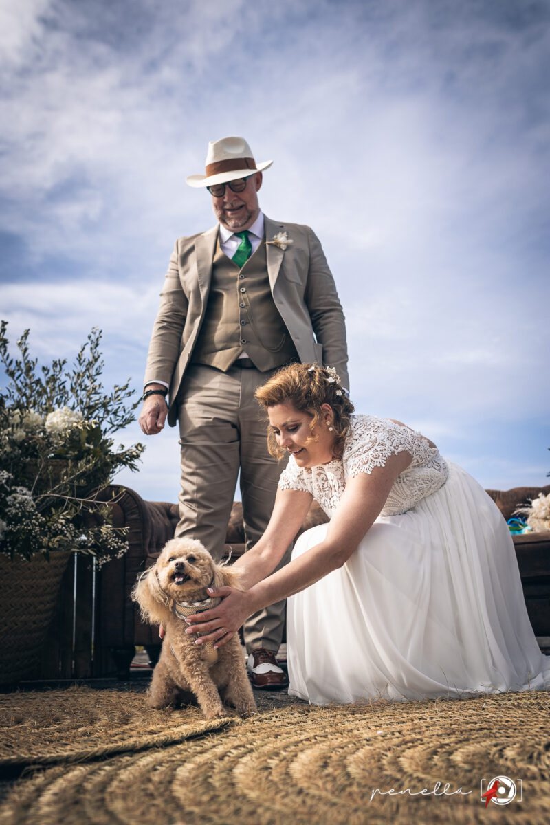 Foto del perro de las alianzas en tu reportaje de boda con Penella Fotografía