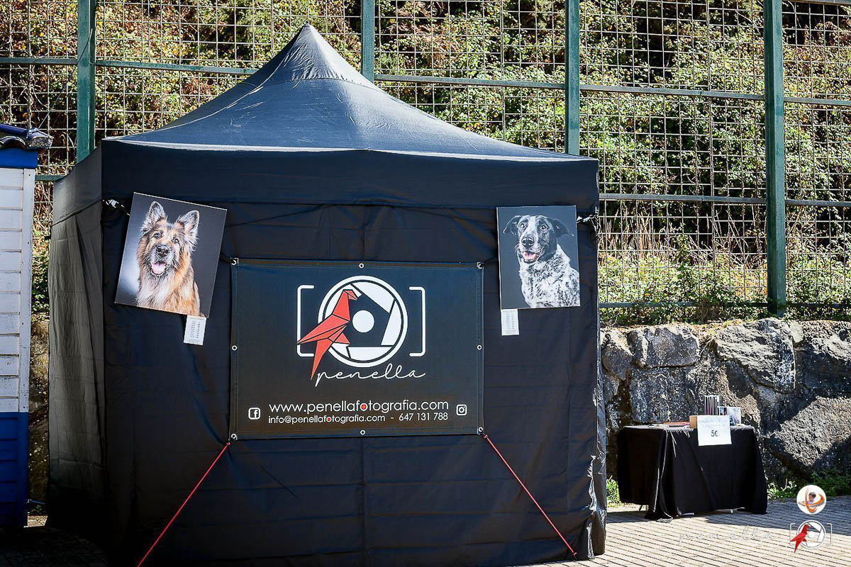 Fotografía de estudio solidaria Penella fotografía fotógrafo eventos