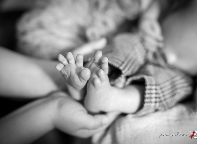 Penella Fotografía, fotógrafo de recién nacido y newborn a domicilio en Asturias